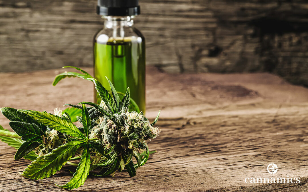 Is CBD addictive?
